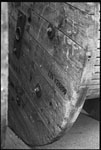 scan2372w.jpg