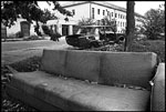 scan2388w.jpg