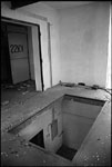 scan2395w.jpg