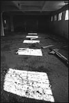scan2424w.jpg