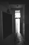 scan2432w.jpg