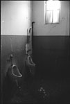 scan2434w.jpg