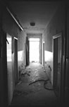 scan2447w.jpg