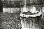 scan1890w.jpg