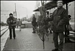 scan2791w.jpg