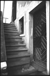 scan1574w.jpg