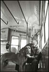 scan2315w.jpg