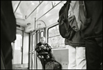 scan2320w.jpg