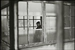 scan2046w.jpg