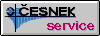 Cesnet