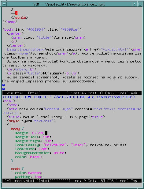 Gvim screenshot