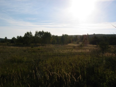 Podve�er