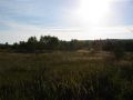 Podve�er
