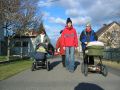 Podles�