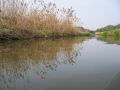 Na kan�ly to bola e�te pohodi�ka a dopredu sme sa plavili.