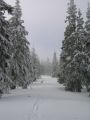 Po v�eraj�om sne�en� ideme na polku apr�la �plne rozpr�vkovou krajinou.