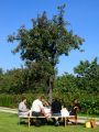 Sl�vnostn� obed